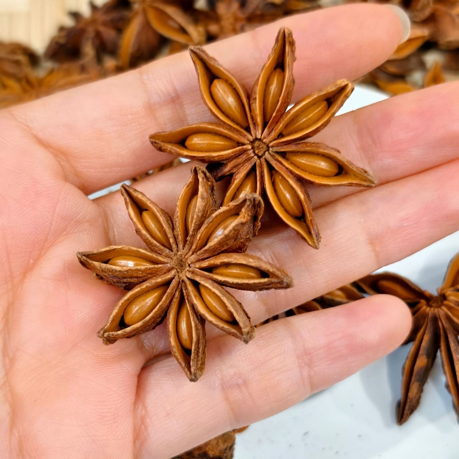 Star Anise - 图片 3